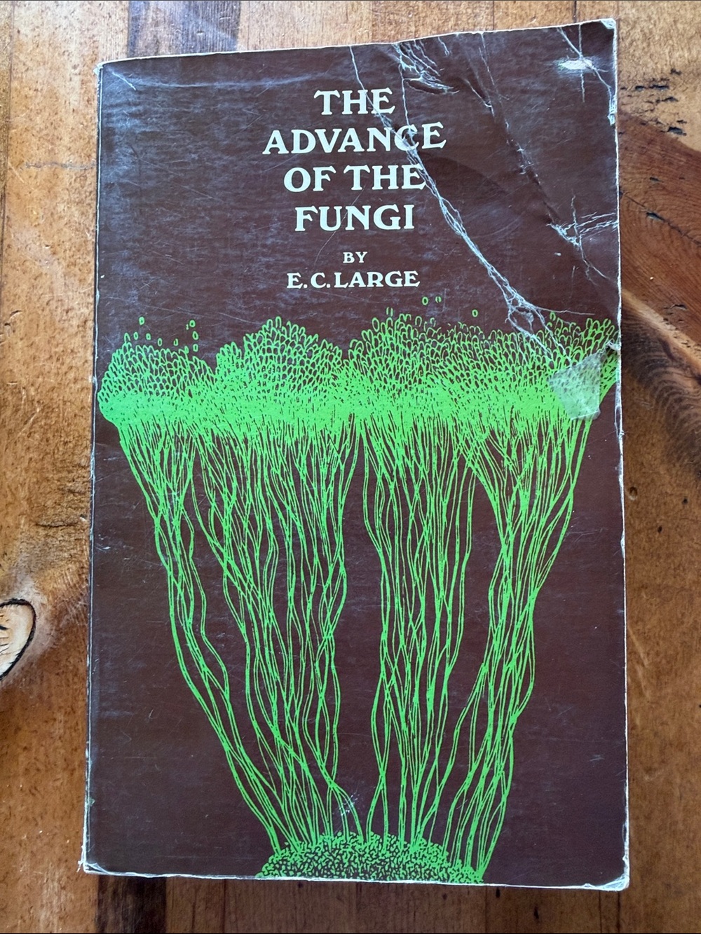The Advance of the Fungi by E.C, Large Mushroom Paperback Book